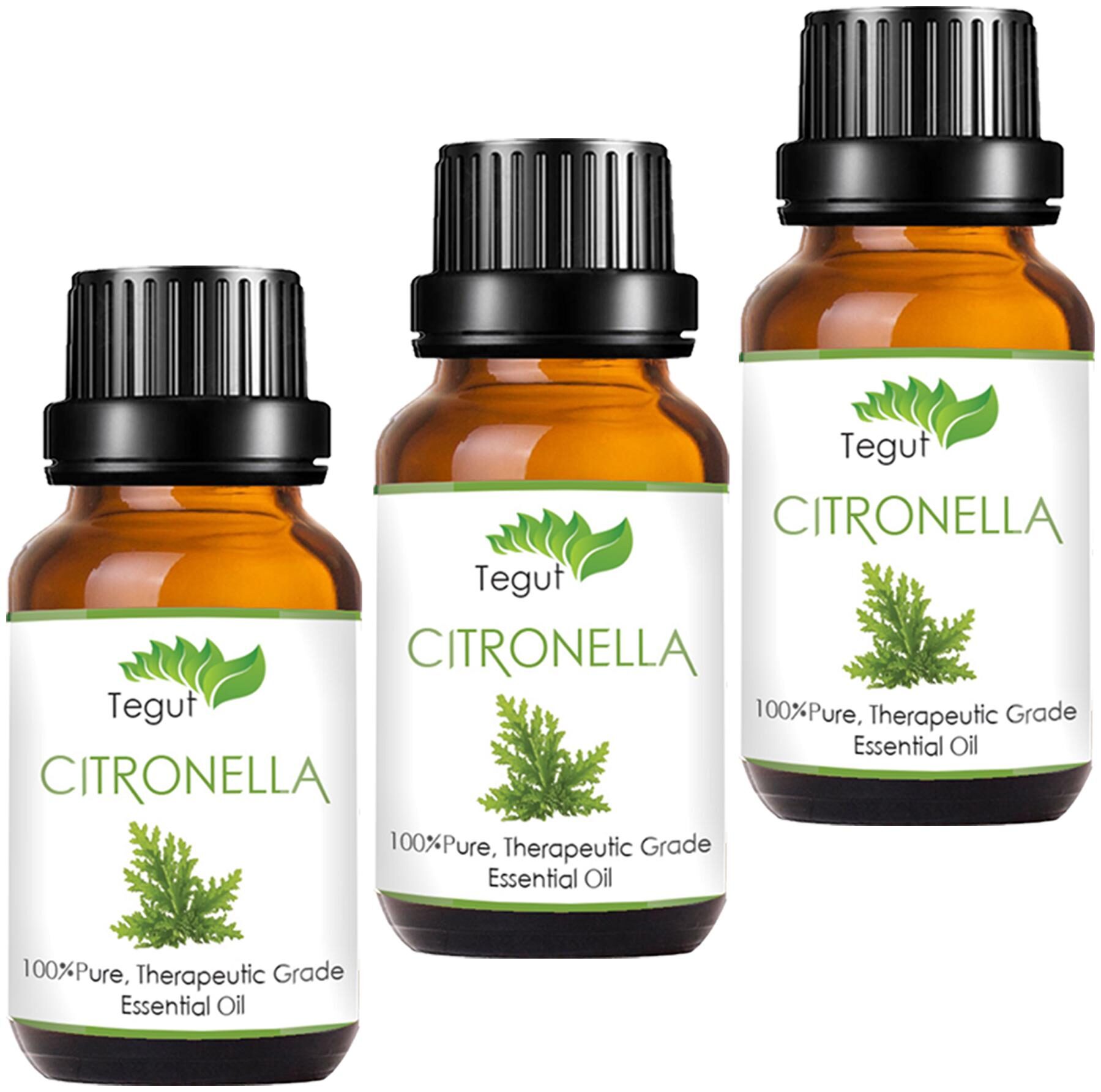 

TEGUT 100 Pure Citronella Essential Oil (20 ml) (Pack of 3)