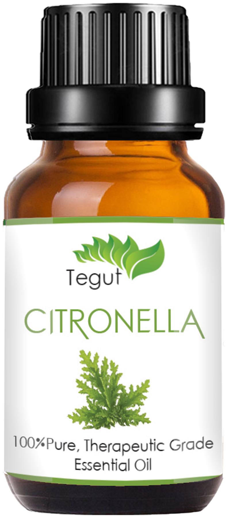 

TEGUT Citronella Essential Oil Pure Natural Therapeutic Grade(30 ml) (Pack of 1)