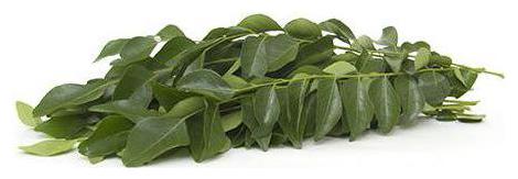 

Fresho Fresh Curry Leaves 250g
