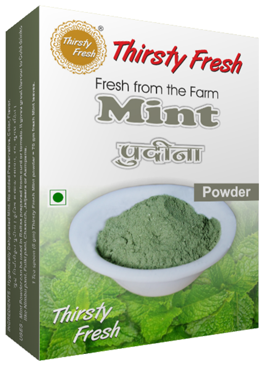 

Thirsty Fresh Pudina Mint Powder - Dehydrated 100 g each (Pack of 4)