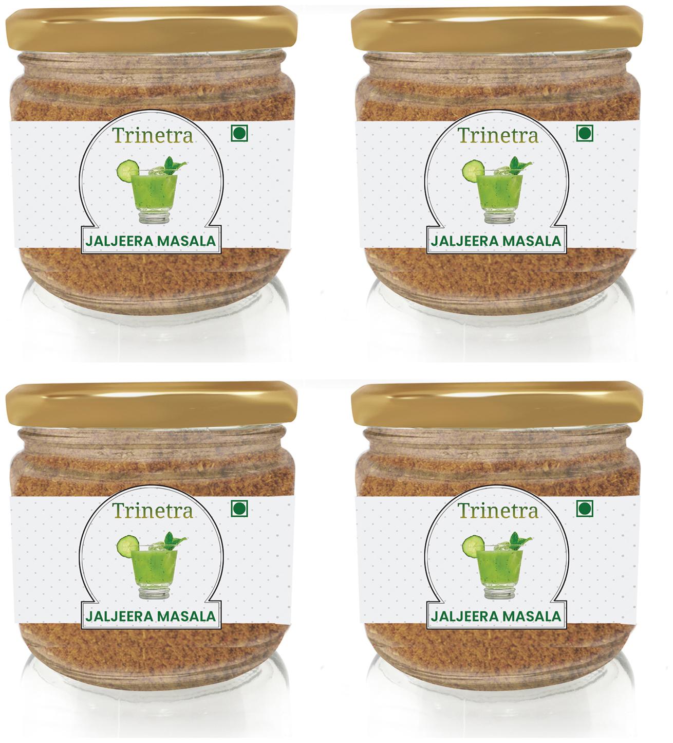 

Trinetra Best Quality Jal Jeera Masala (Glass Jar Pack)-100g (Pack Of 4)