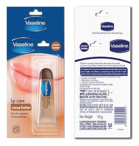 

Vaseline Lip Care Cocoa Butter 10 g
