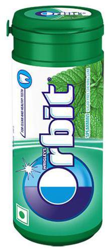 

Wrigleys Orbit Chewing Gum - Spearmint Sugarfree 22 g