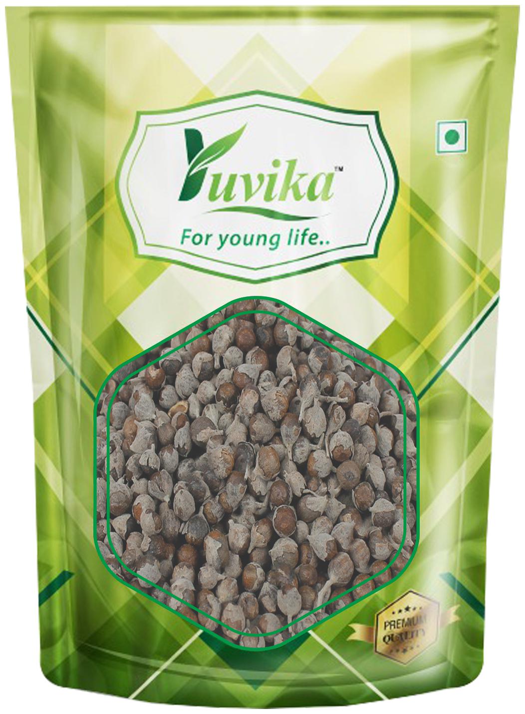 

YUVIKA Beej Sambhalu Nirgundi Seeds - Vitex Negundo (400 g)