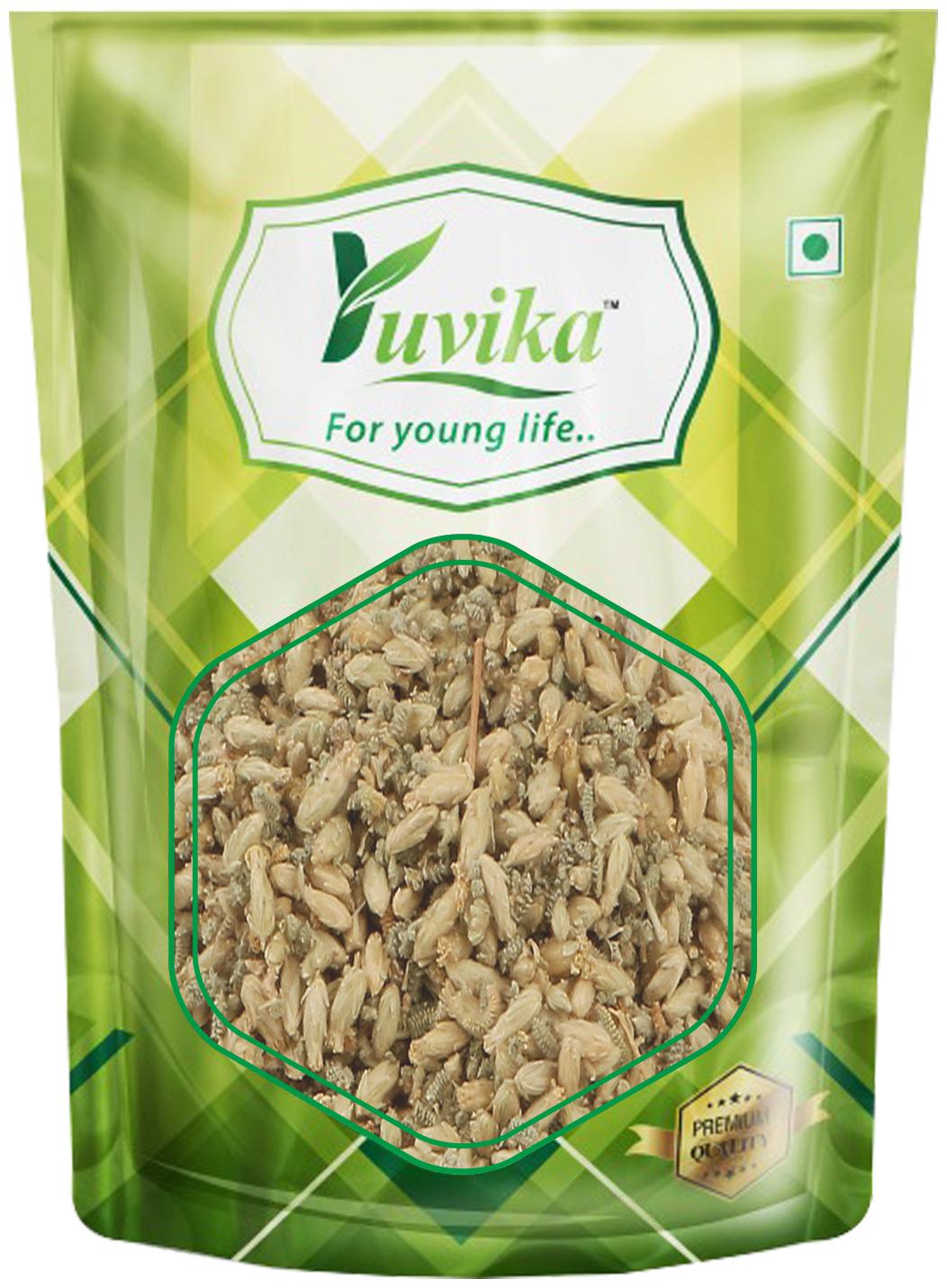 

YUVIKA Brinjasif Brinjasaf - Achillea Millefolium Linn (100 g)