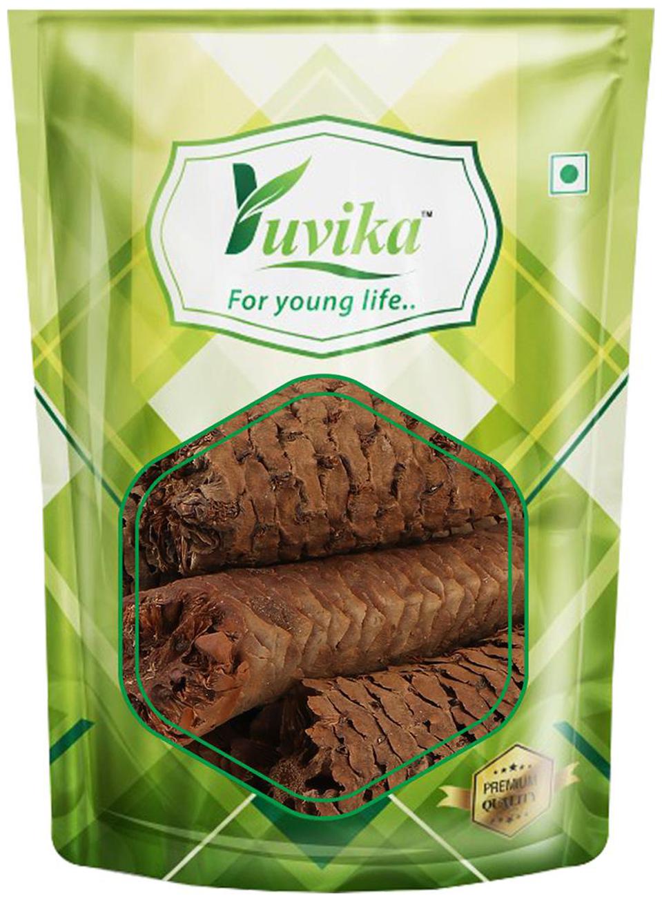 

YUVIKA Gaj Pipal - Sccindapsus Officinalis (400 g)