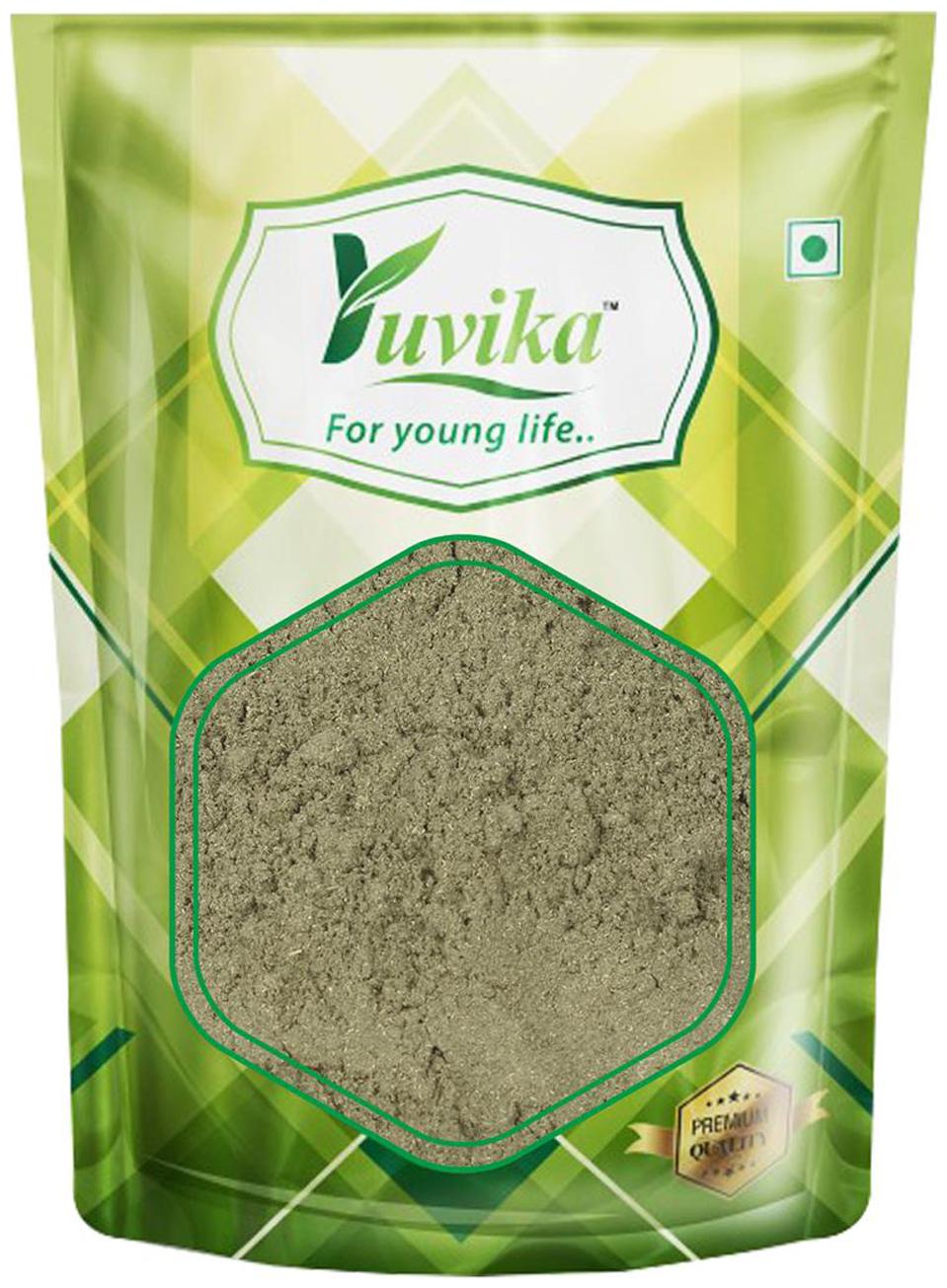 

YUVIKA Gurmar Powder Gudmar Powder - Gymnema Sylvestre - Periploca Of The Woods (200 g)
