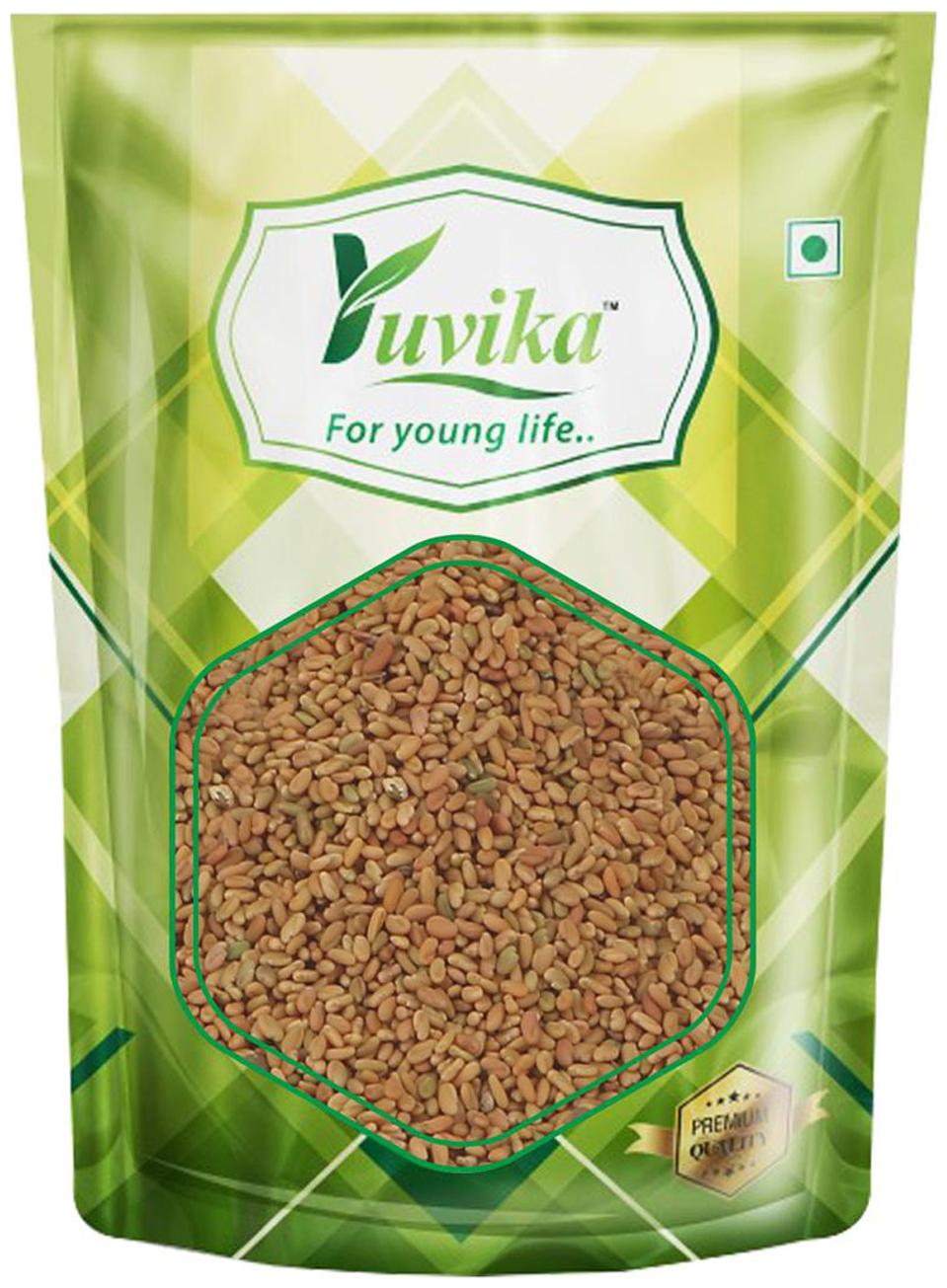 

YUVIKA Kasuri Methi Seeds Champa Methi (200 g)