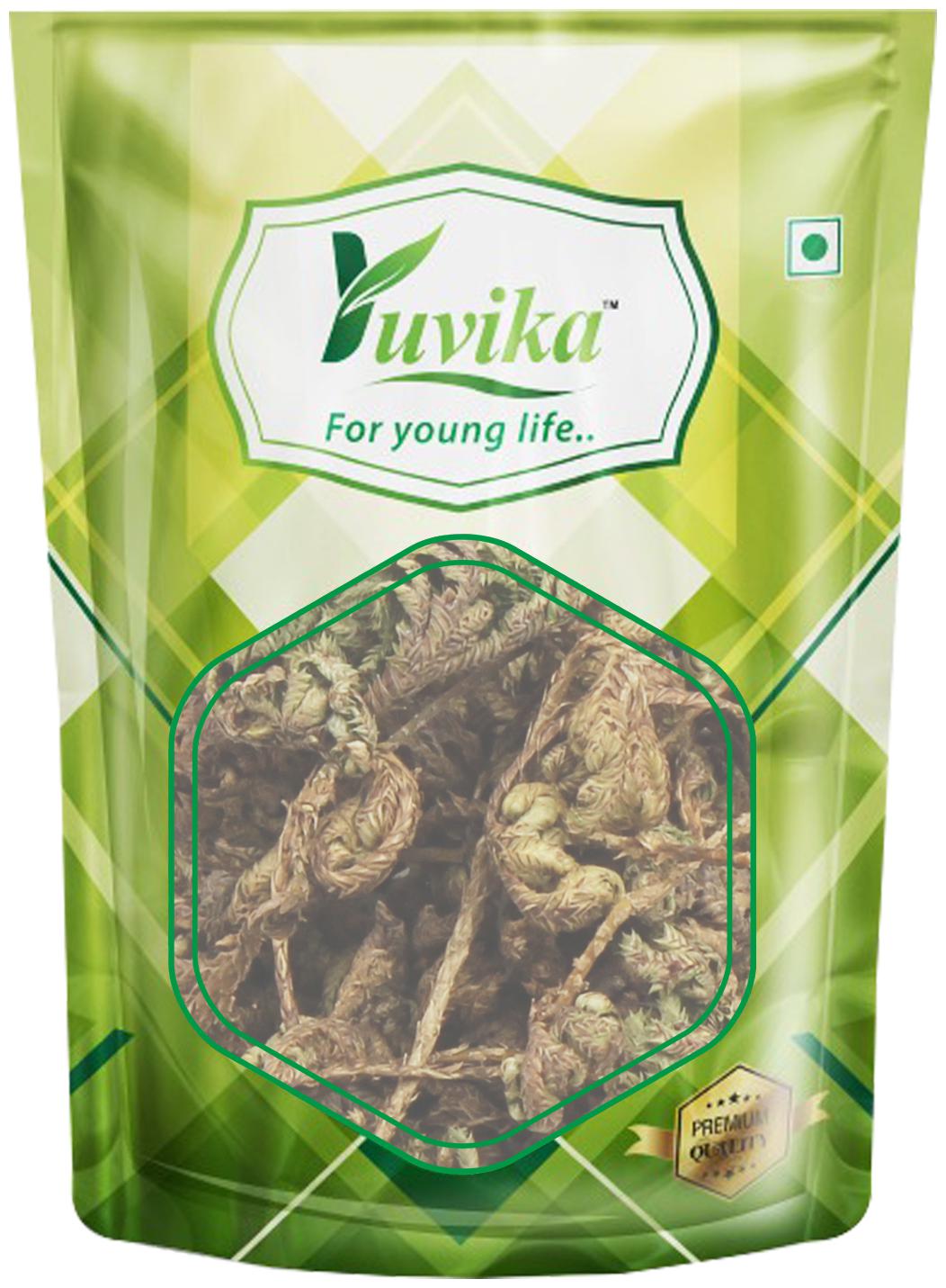 

YUVIKA Laxman Booti Lakshman Booti - Selaginella Bryopteris - Guma 200 g