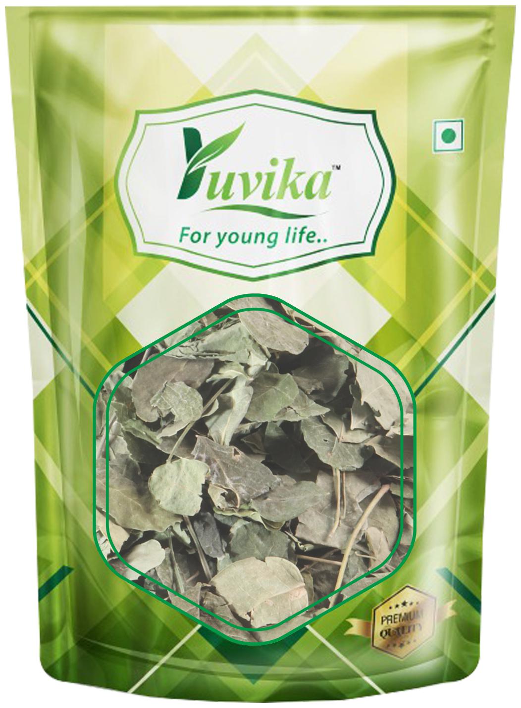 

YUVIKA Moringa Leaves - Moringa oleifera - Sohjana Patti 100 g