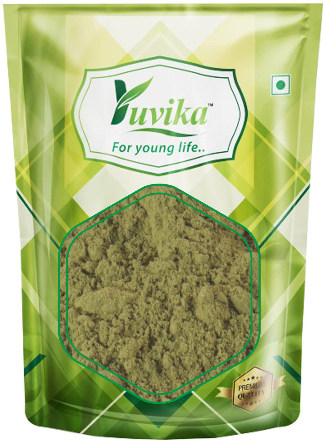 

YUVIKA Moringa Leaves Powder - Moringa oleifera - Sohjana Patti Powder 200 g