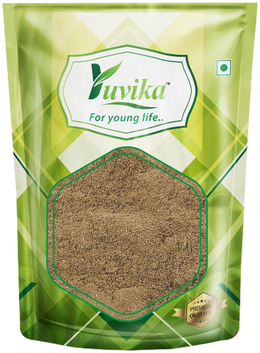 

YUVIKA Tulsi Patta Powder - Ocimum Sanctum - Tulsi Leaves Powder (400 g)