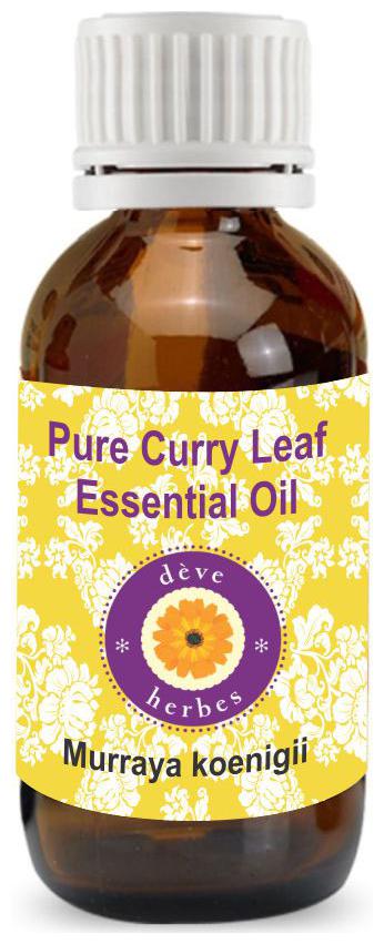 

Deve Herbes Pure Curry Leaves (Patta) Essential Oil (Murraya koenigii) 100 Natural Therapeutic Grade Steam Distilled 10ml