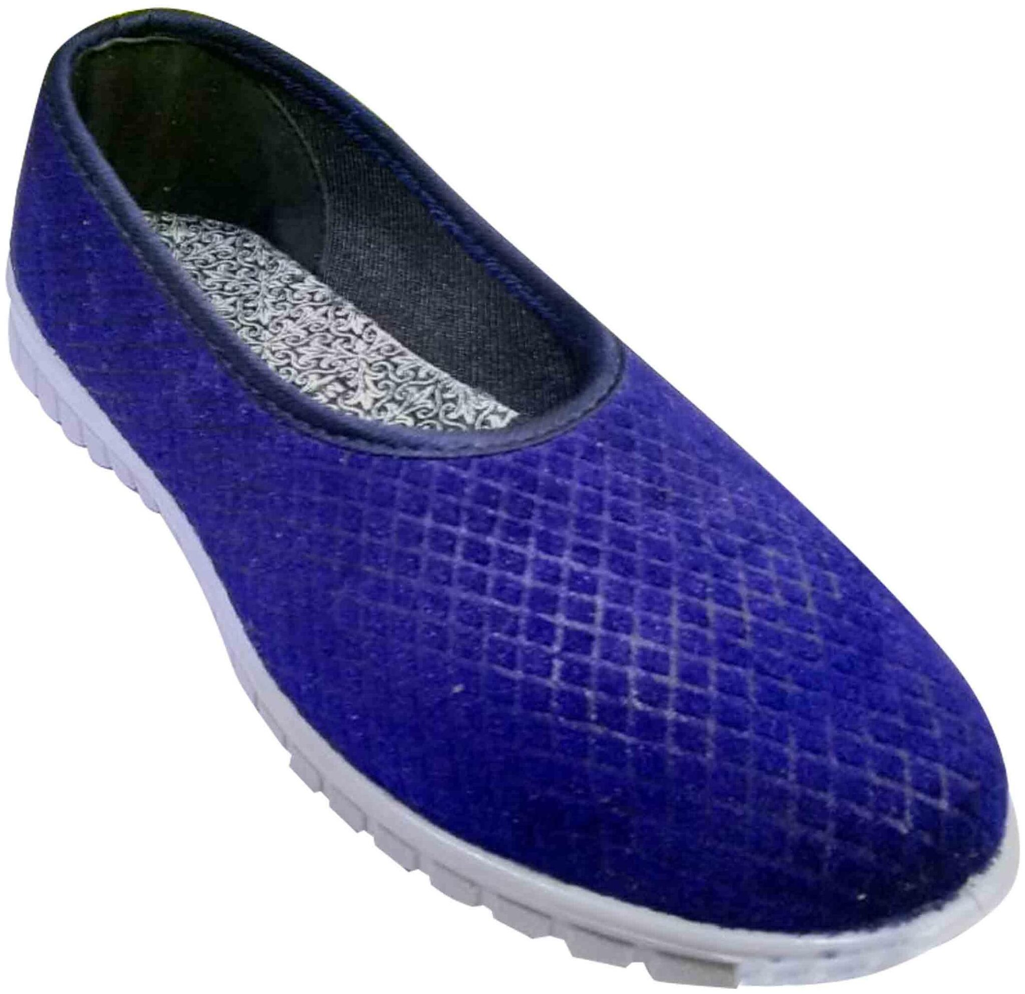 

Ajanta Women Blue Sneakers