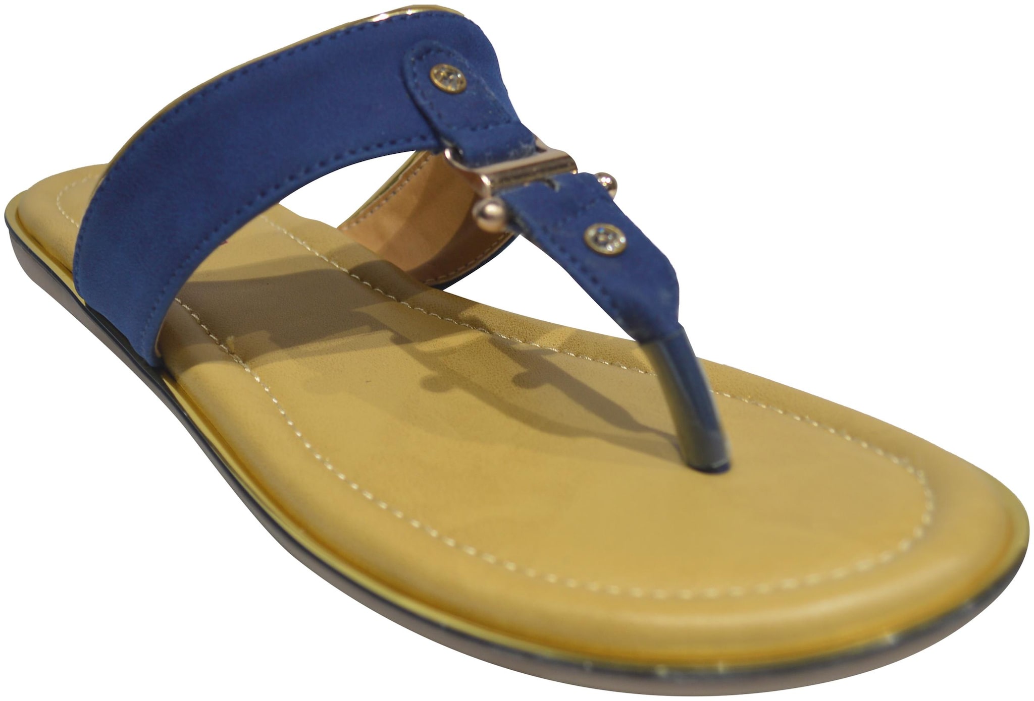 

Ajanta Women Blue Sandals
