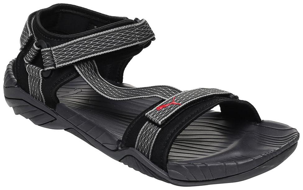 https://assetscdn1.paytm.com/images/catalog/product/F/FO/FOOAQUA-IDP-GREPUMA335823E8072EF5/1564604232489_0..jpg