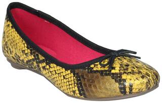 Catwalk Yellow Bellies