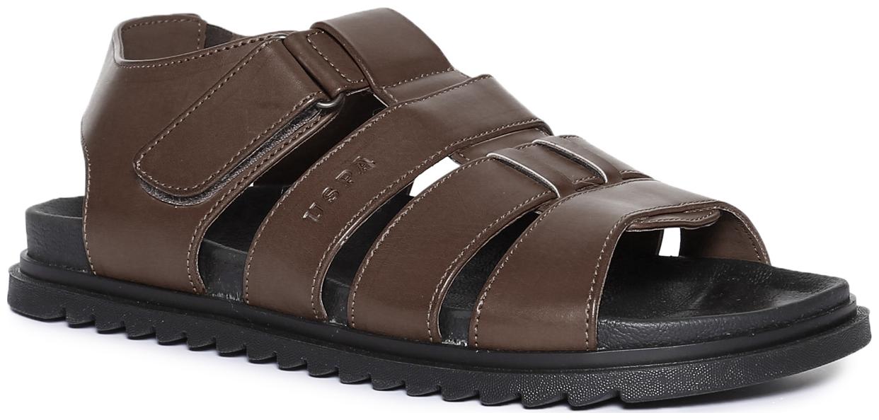 

U S Polo Assn Men Brown Sandals