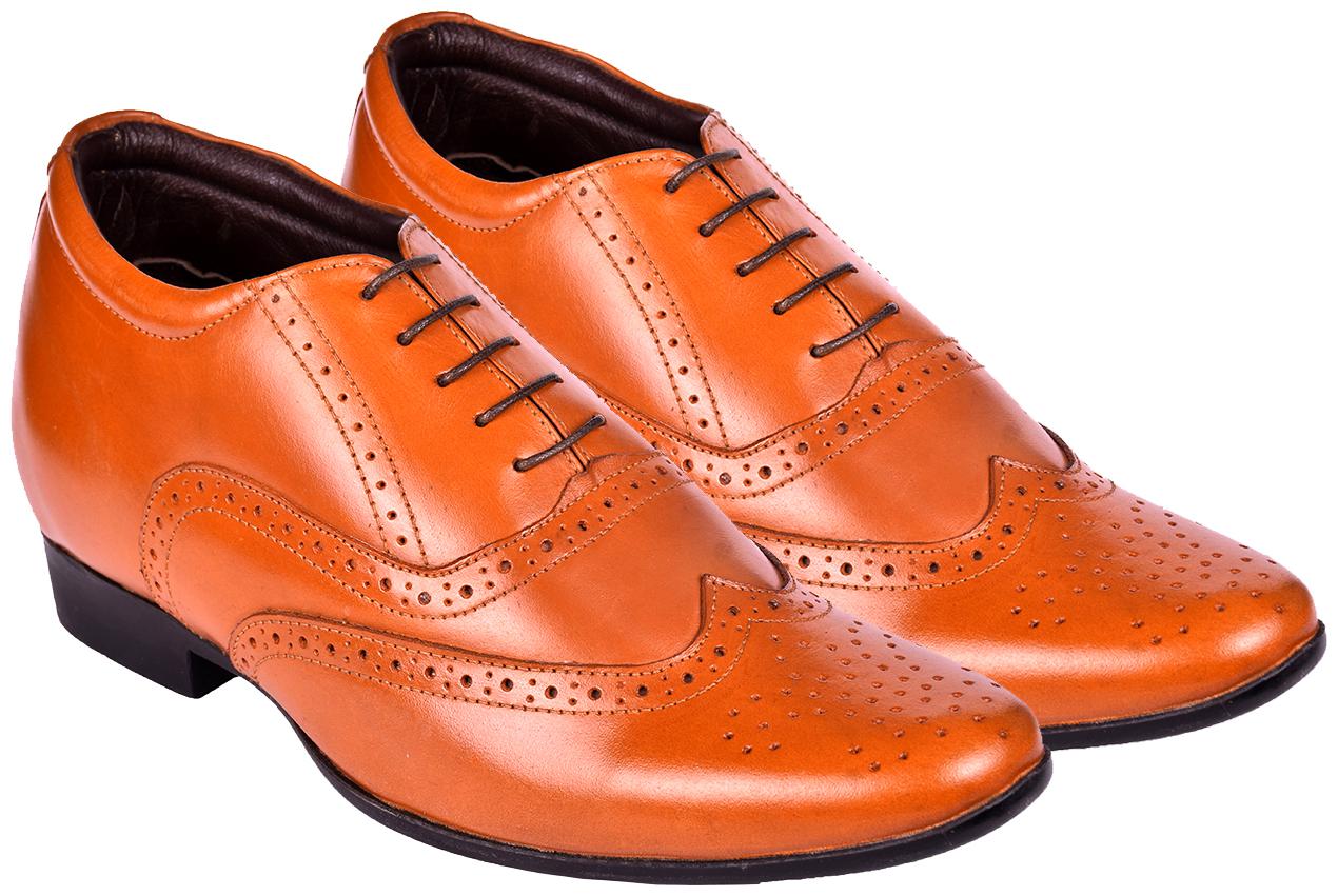 

COSTOSO ITALIANO Men Tan Brogues Formal Shoes
