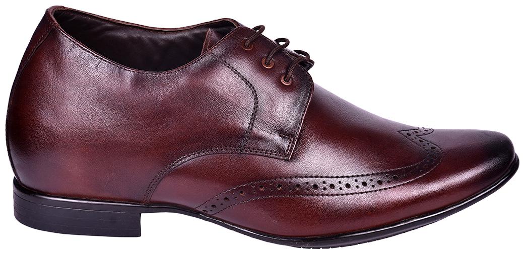 

COSTOSO ITALIANO Men Brown Derby Formal Shoes