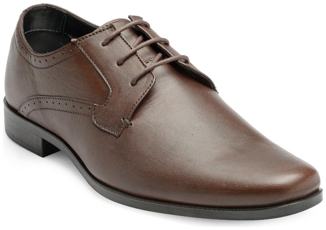 

Franco Leone Men Brown Formal Shoes