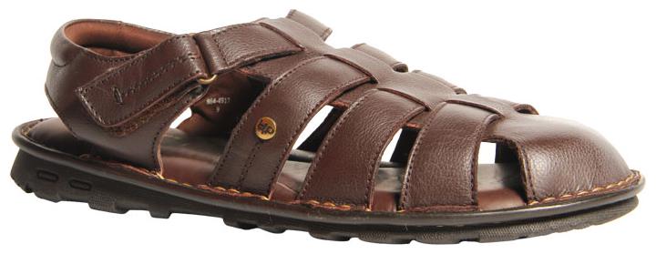 

Hush Puppies Men Brown Sandals