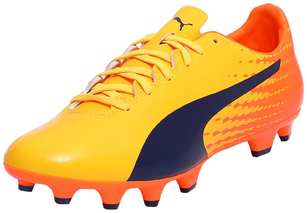 

Puma Men evoSPEED 17 2 FG Football Shoes ( Multi-Color )