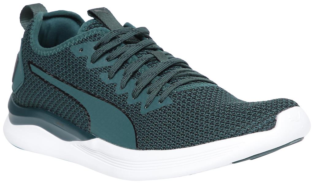 

Puma IGNITE Flash Men s Training Shoes Running Shoes For Men