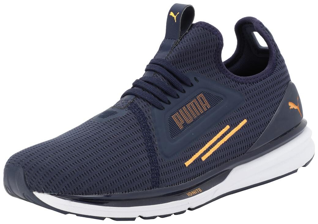 

Puma IGNITE Limitless Lean Modern Men Blue Classic Sneakers - 192548