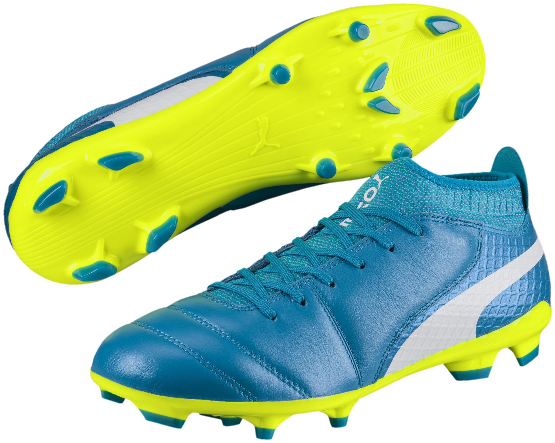 

Puma Men PUMA ONE 17 2 FG Football Shoes ( Blue )