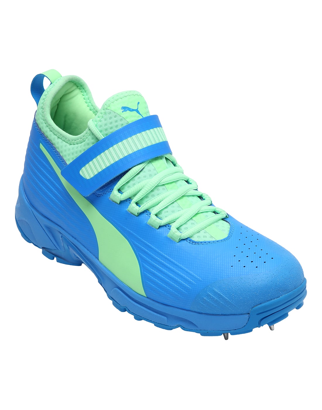 

Puma Men Cricket Shoes ( Blue )