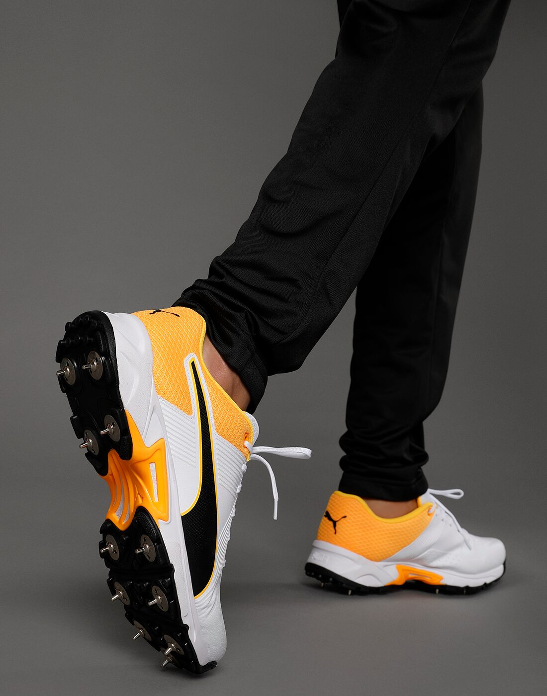 

Puma PUMA Spike 19 2 Cricket Shoes For Men