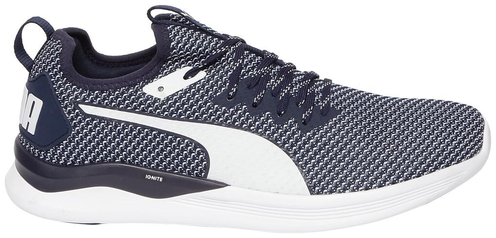 

Puma Men IGNITE Flash FS Running Shoes ( Blue )