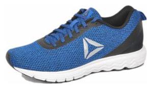 

Reebok Men Running Shoes ( Blue )