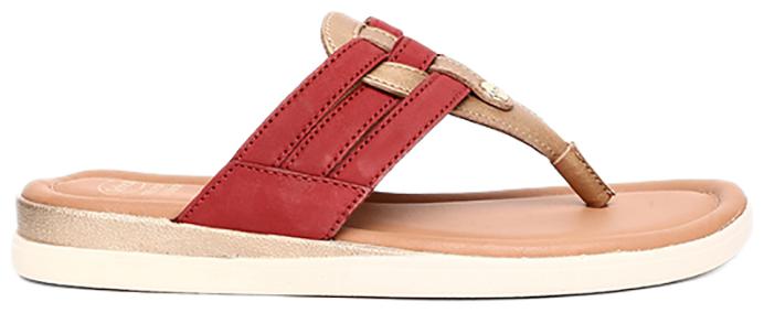 

Scholl Women Wine T-Strap Flats