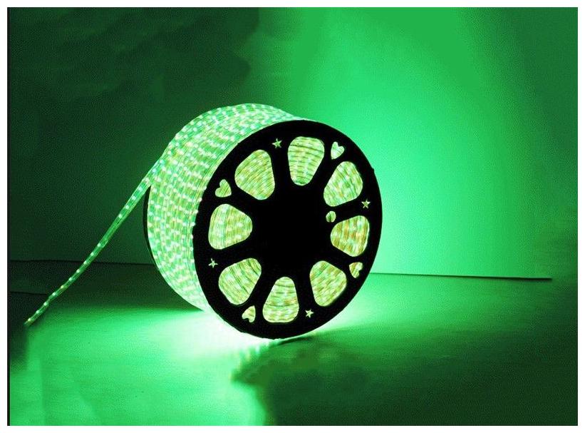 Buy 100 ft 30 Metre Green Waterproof 220V RGB LED Strip Light 5050 SMD