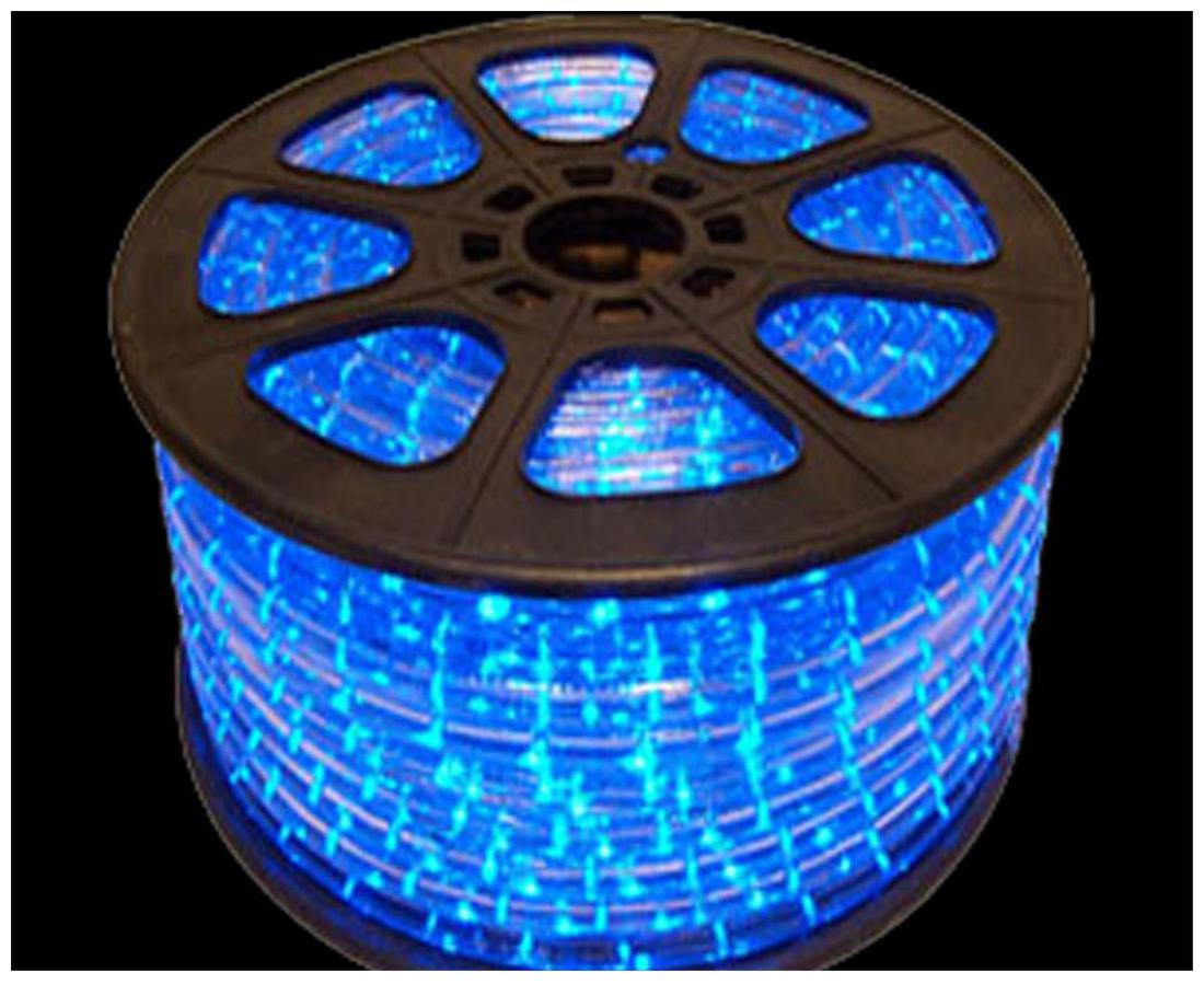 

100 m Blue LED Rope Light Rice Light with Adapter