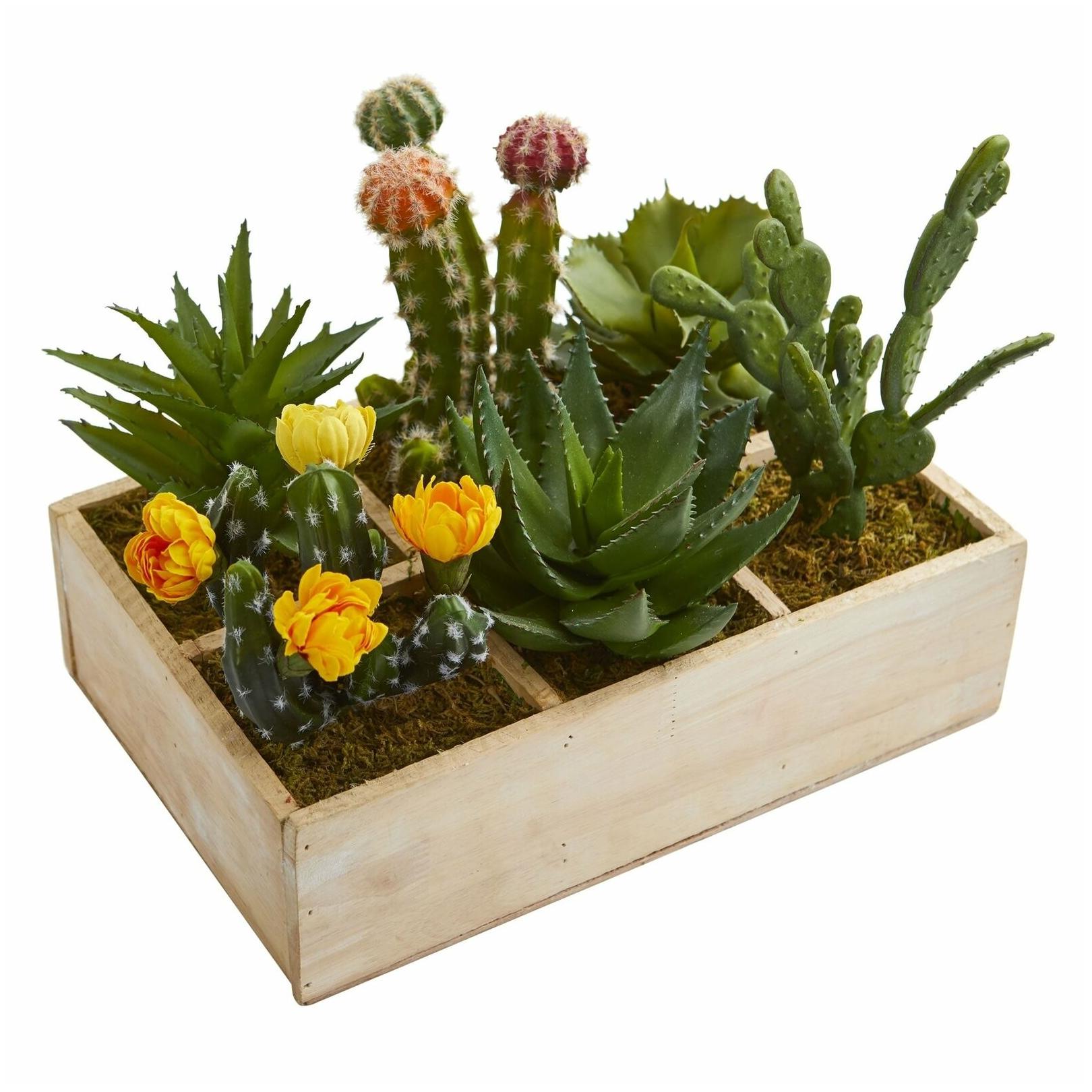 

11 Mixed Succulent Garden in Tray Artificial Plant