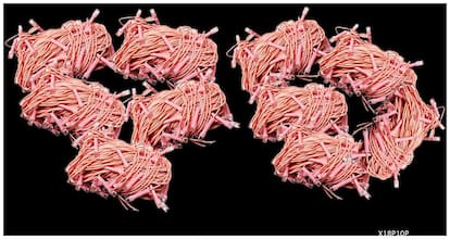 11BLUE DIWALI Special {Pack of 10} Pink Color Festival Decorative 12 M 54 Bulbs High Quality Indoor LED String Fairy Series Lights