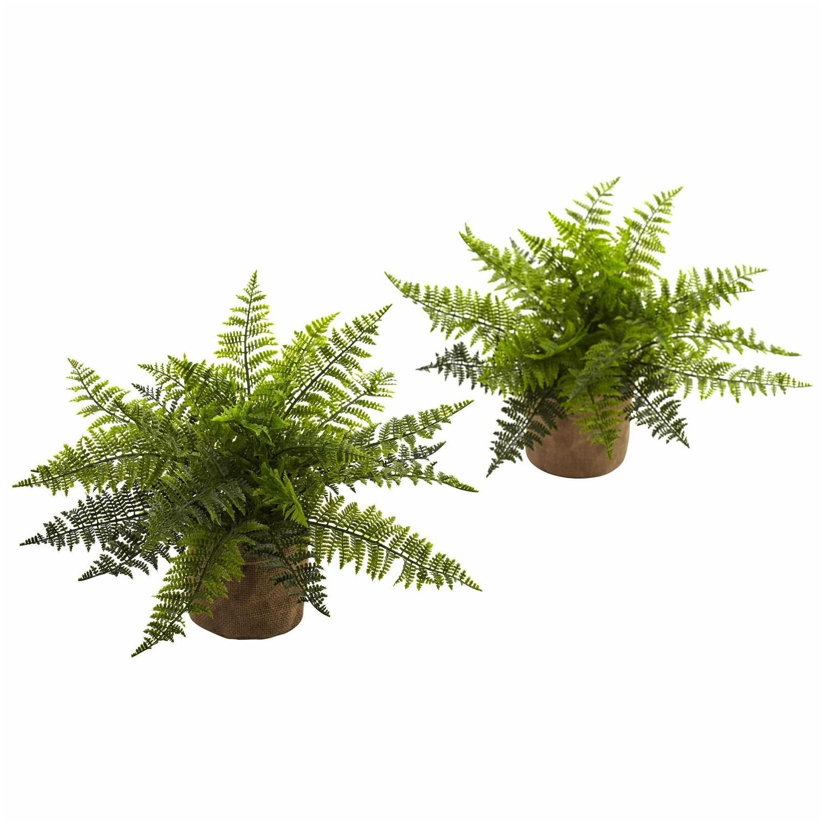 

15-inch Ruffle Fern Bush w Burlap Base (Set of 2)