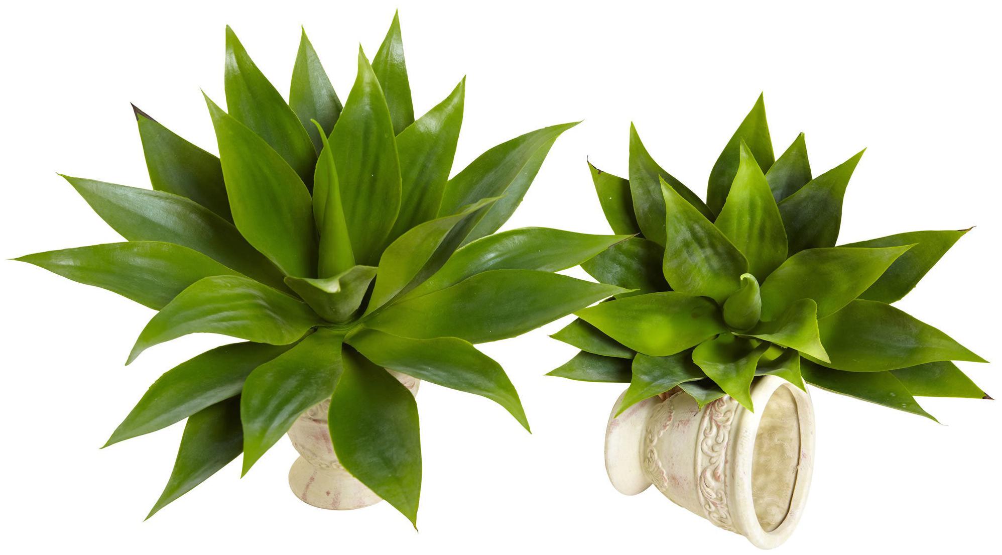 

17-inch Agave Succulent Plant (Set of 2)