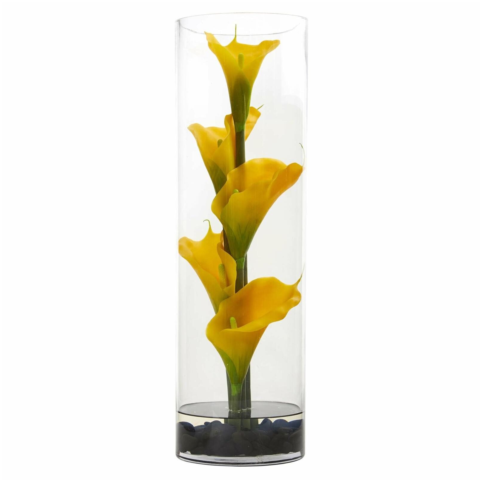 

20 Calla Lily in Cylinder Glass