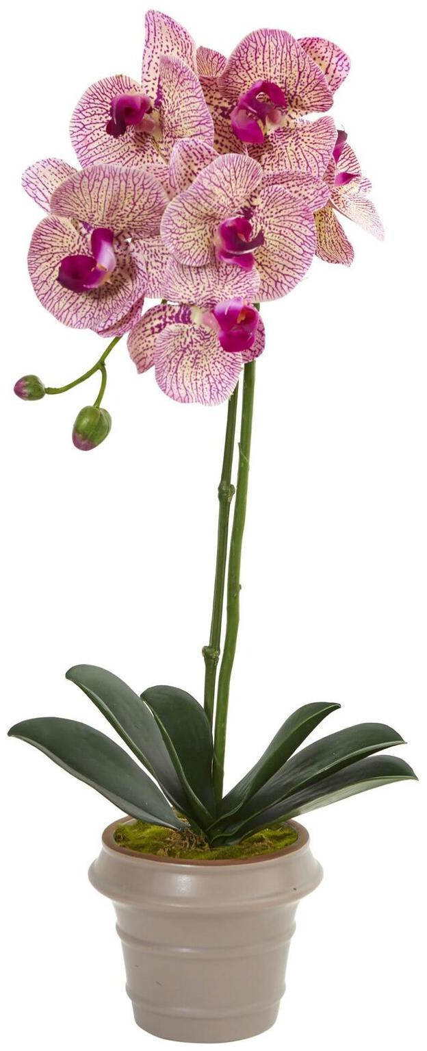 

20 Designer Phalaenopsis Orchid Artificial Arrangement