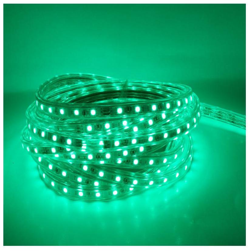 

20 Meter Green Colour LED Strip AC 220V Flexible Light RGB Dimmable SMD Waterproof Power Plug Outdoor Garden Lighting
