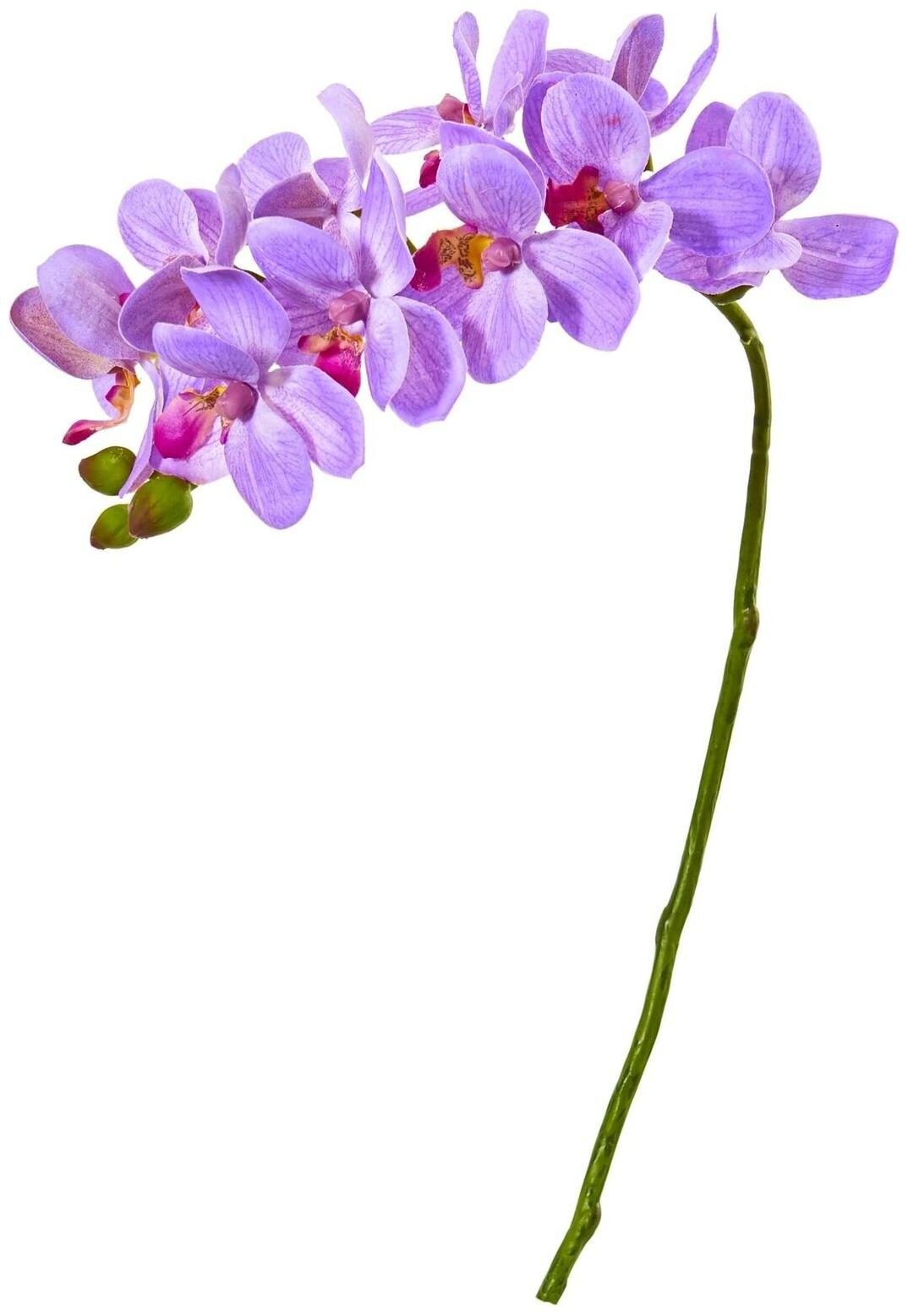 

21 Phalaenopsis Orchid Artificial Flower (Set of 6)