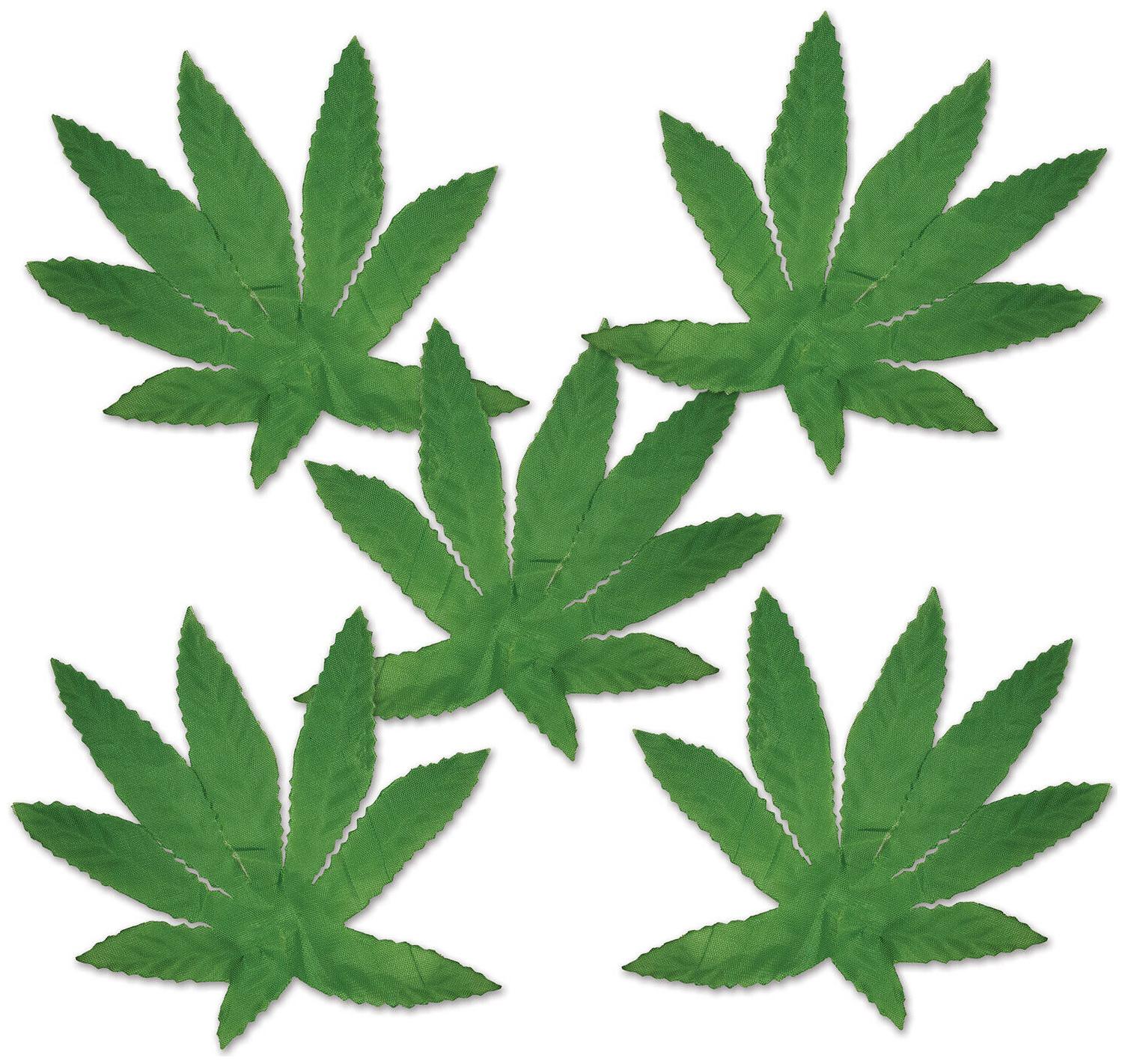 

(24) Tropical Fern Leaves
