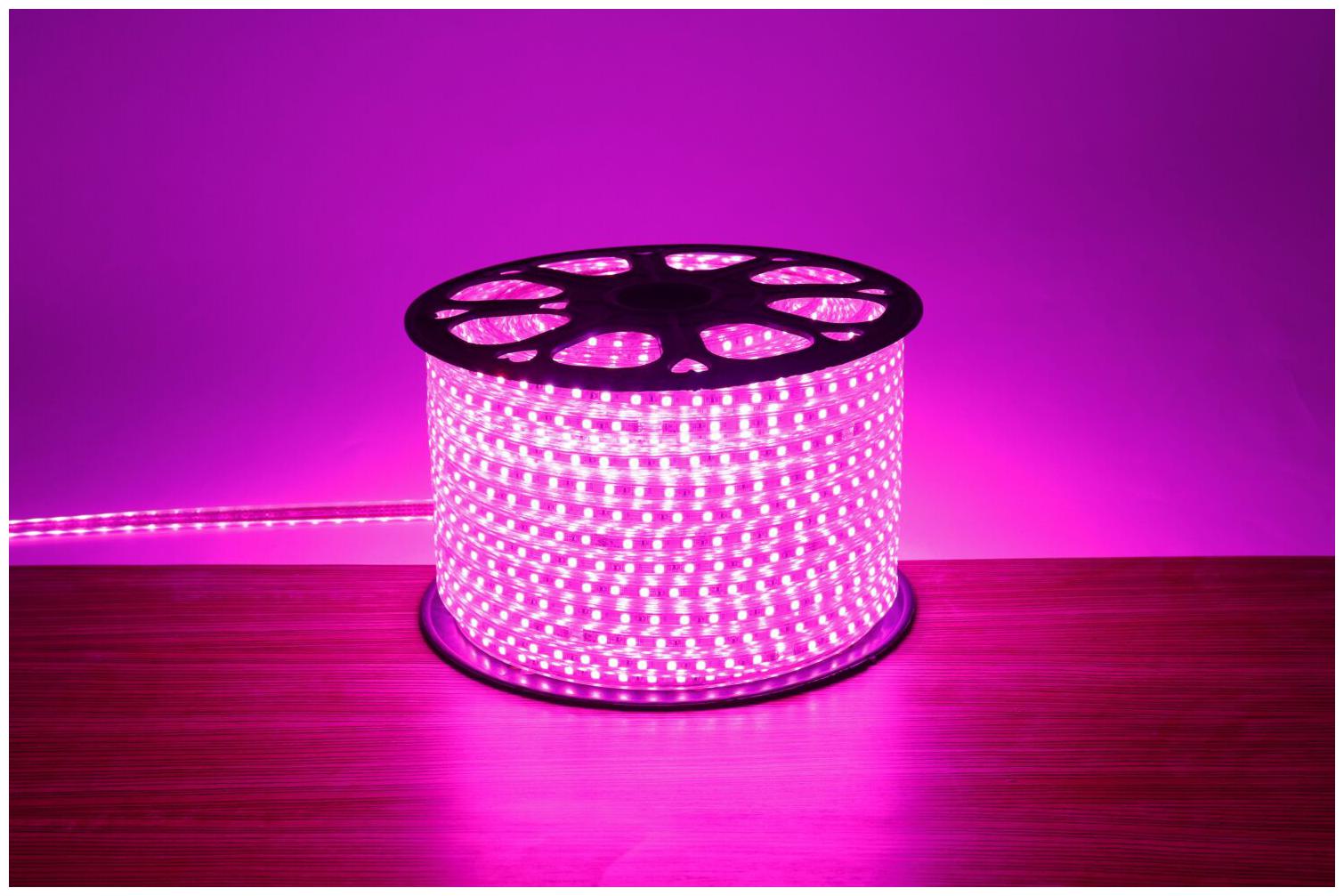 

25 M Fanlive SMD Led Strip Light 60LEDS M Tiras Led Tape Waterproof Ip67 Neon Flex AC 220V