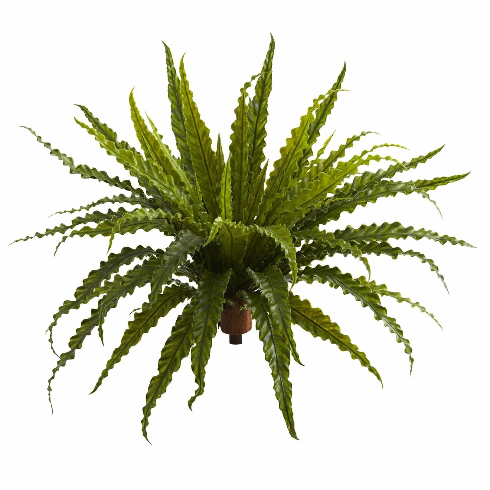 

26 Asplenium Artificial Plant (Set of 2) - h26 in w34 h26 in w34 in