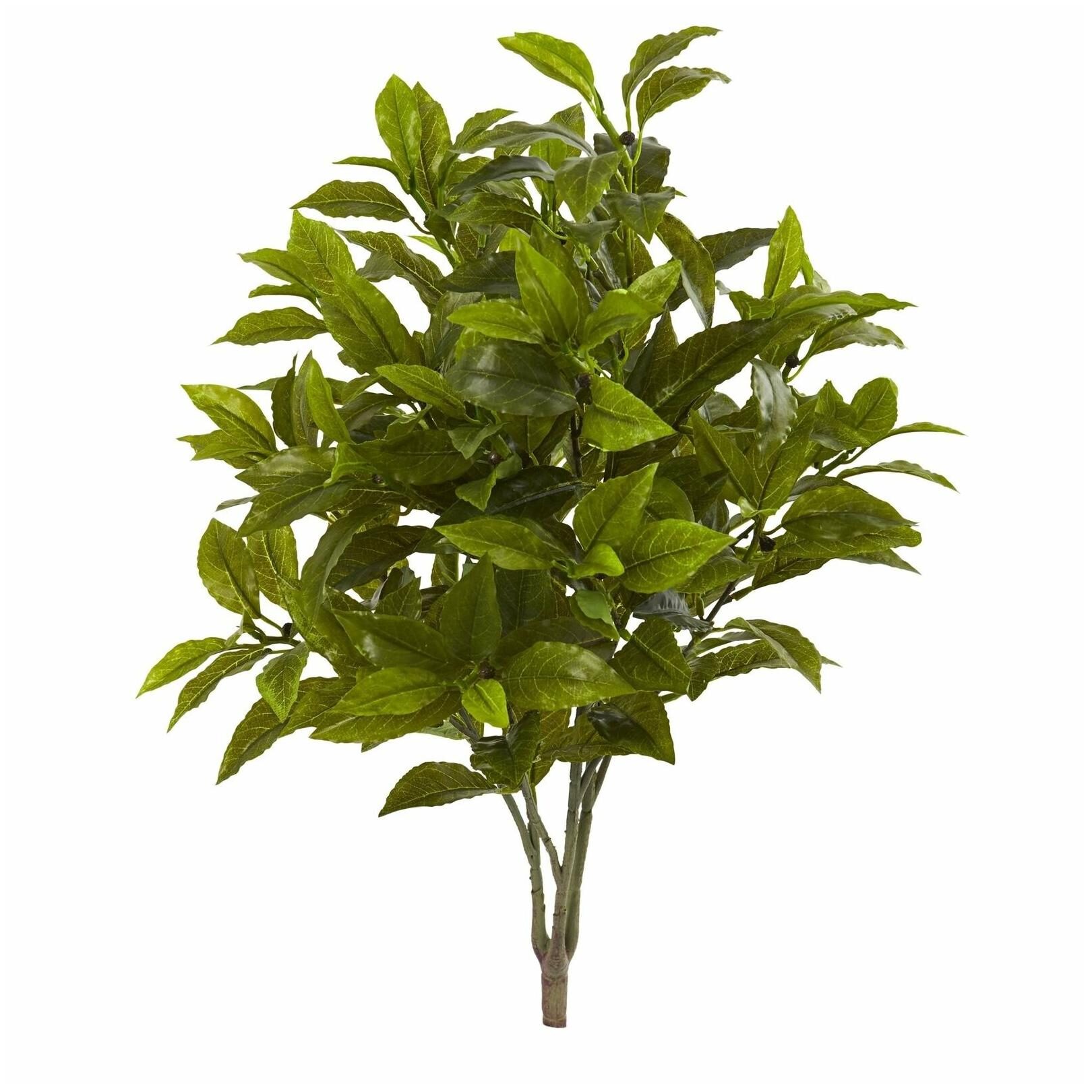 

26 Coffee Leaf Artificial Plant (Set of 2) (Real Touch)