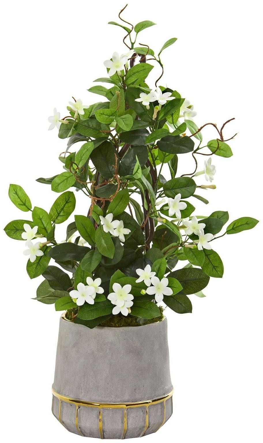 

26 Stephanotis Artificial Plant in Stoneware Planter
